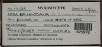 Image Associated With the Occurence